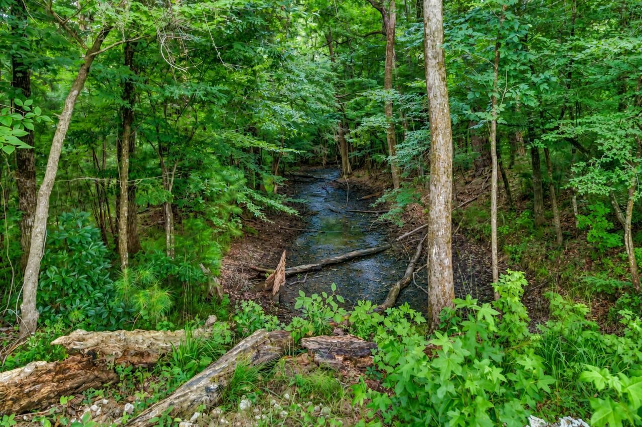 117 Loon Drive Photo 36