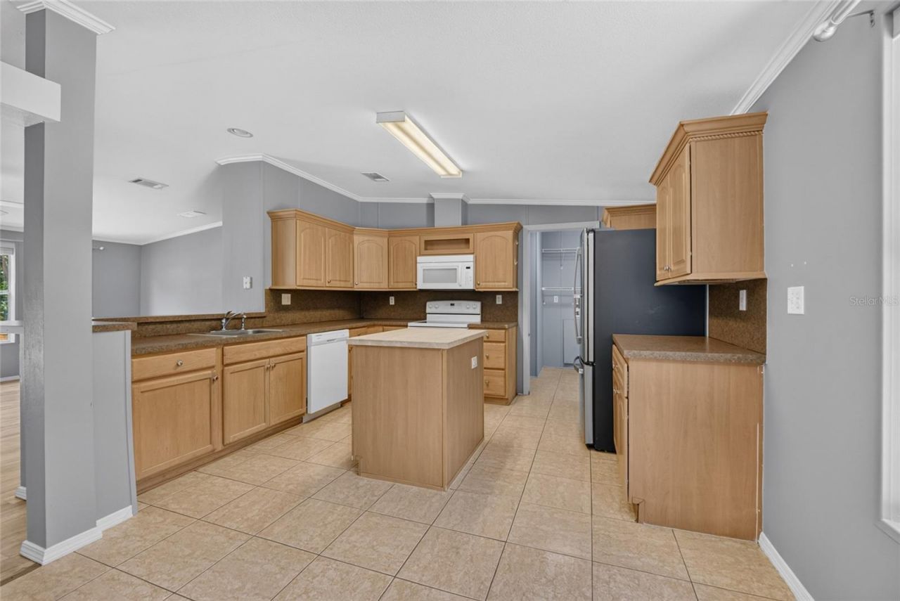 357 Walter Place, Fruitland Park, FL 34731 Photo