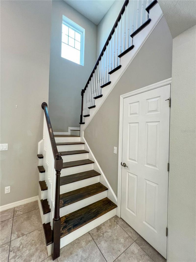 8033 Clementine Lane, Tampa, FL 33625 Photo