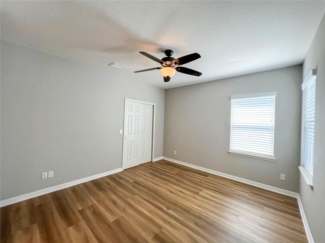 8033 Clementine Lane, Tampa, FL 33625 Photo