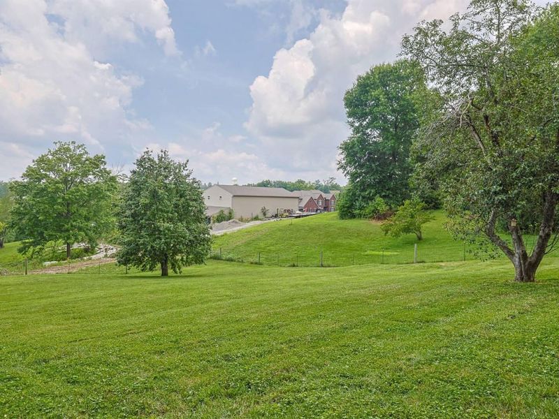 8496 Persimmon Grove Pike, Alexandria, KY 41001 Photo 28