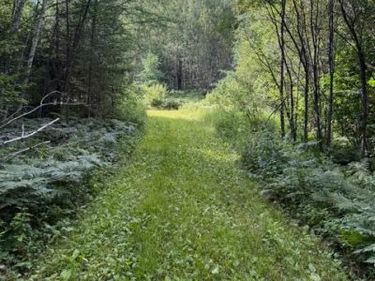 TBD N Moose Lake Road, Pennington, MN 56663