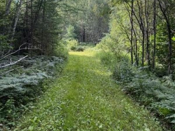 TBD N Moose Lake Road, Pennington, MN 56663