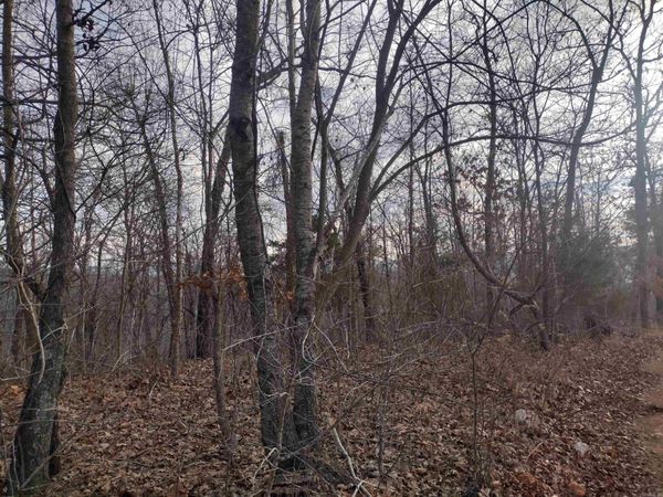 0 Geier RD , Mountain View, AR 72560