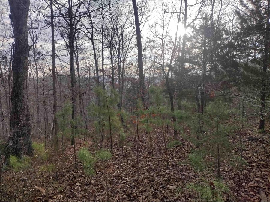 Property Image 18