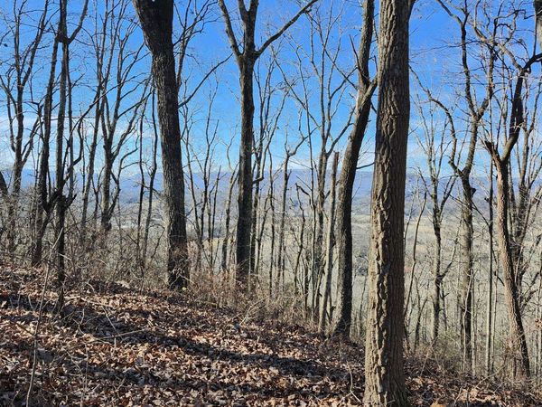 0 Rector Road, Jasper, TN 37347