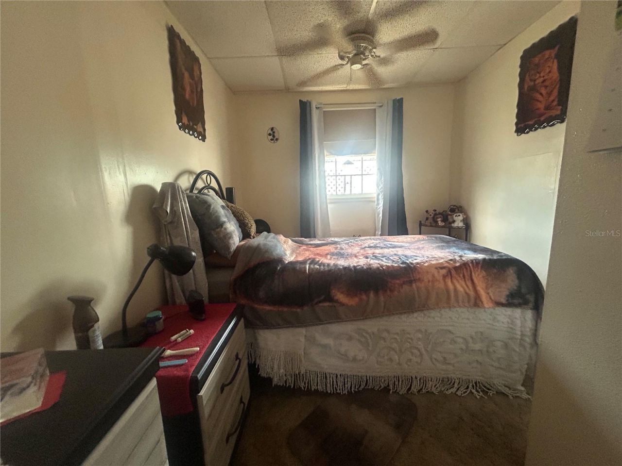 2628 45th Avenue W, Bradenton, FL 34207 Photo