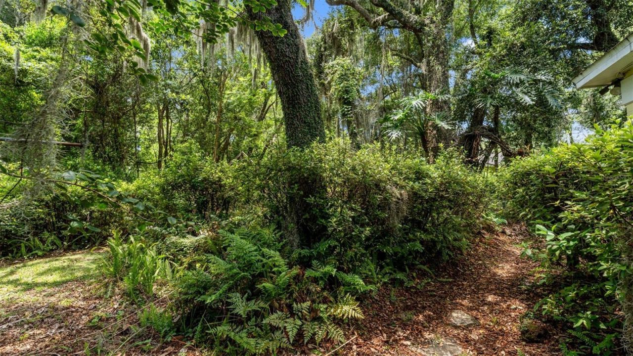 1237 Cardinal Lane, Deland, FL 32720 Photo