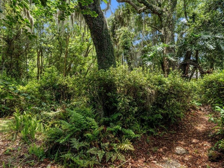 Property Image 68