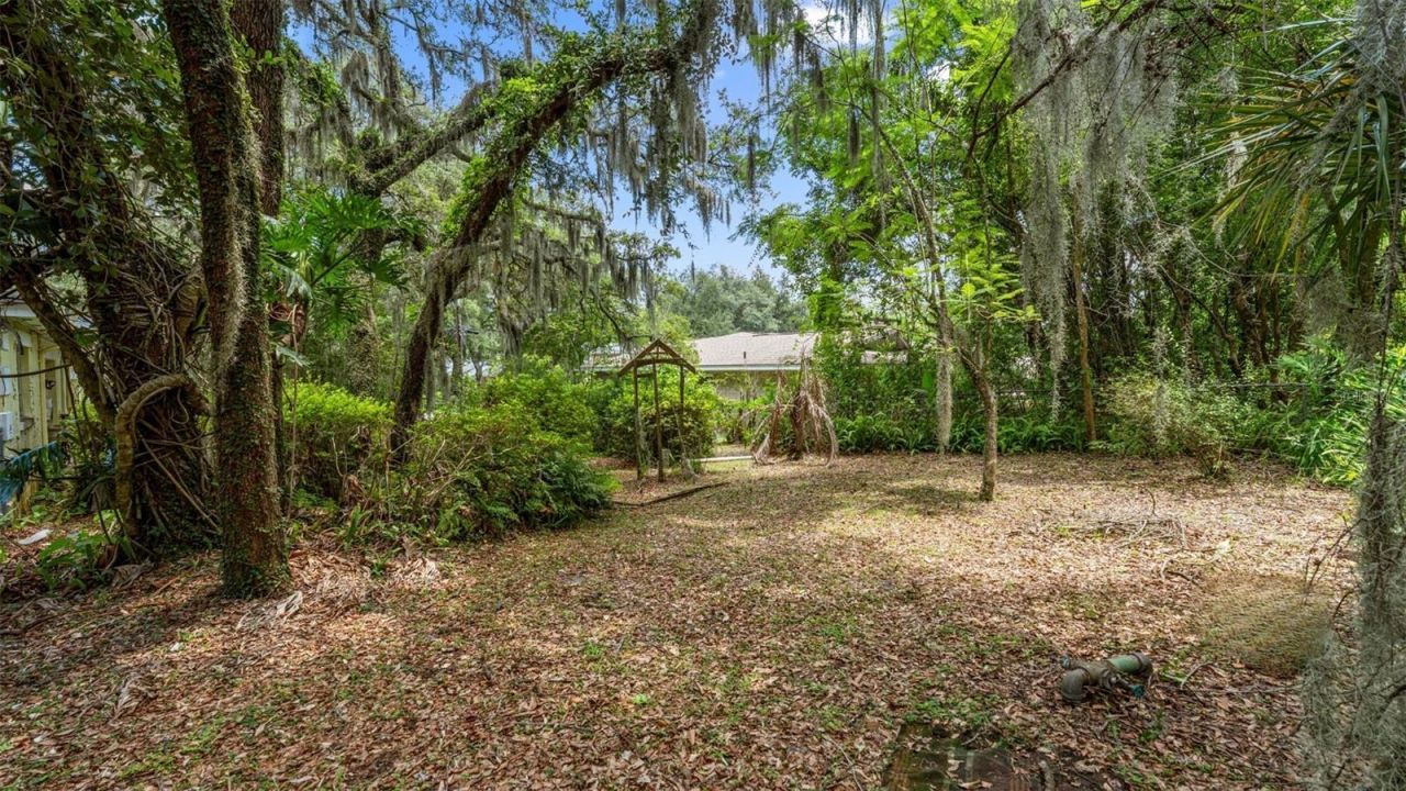 1237 Cardinal Lane, Deland, FL 32720 Photo