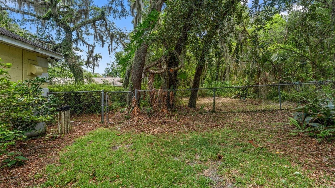 1237 Cardinal Lane, Deland, FL 32720 Photo