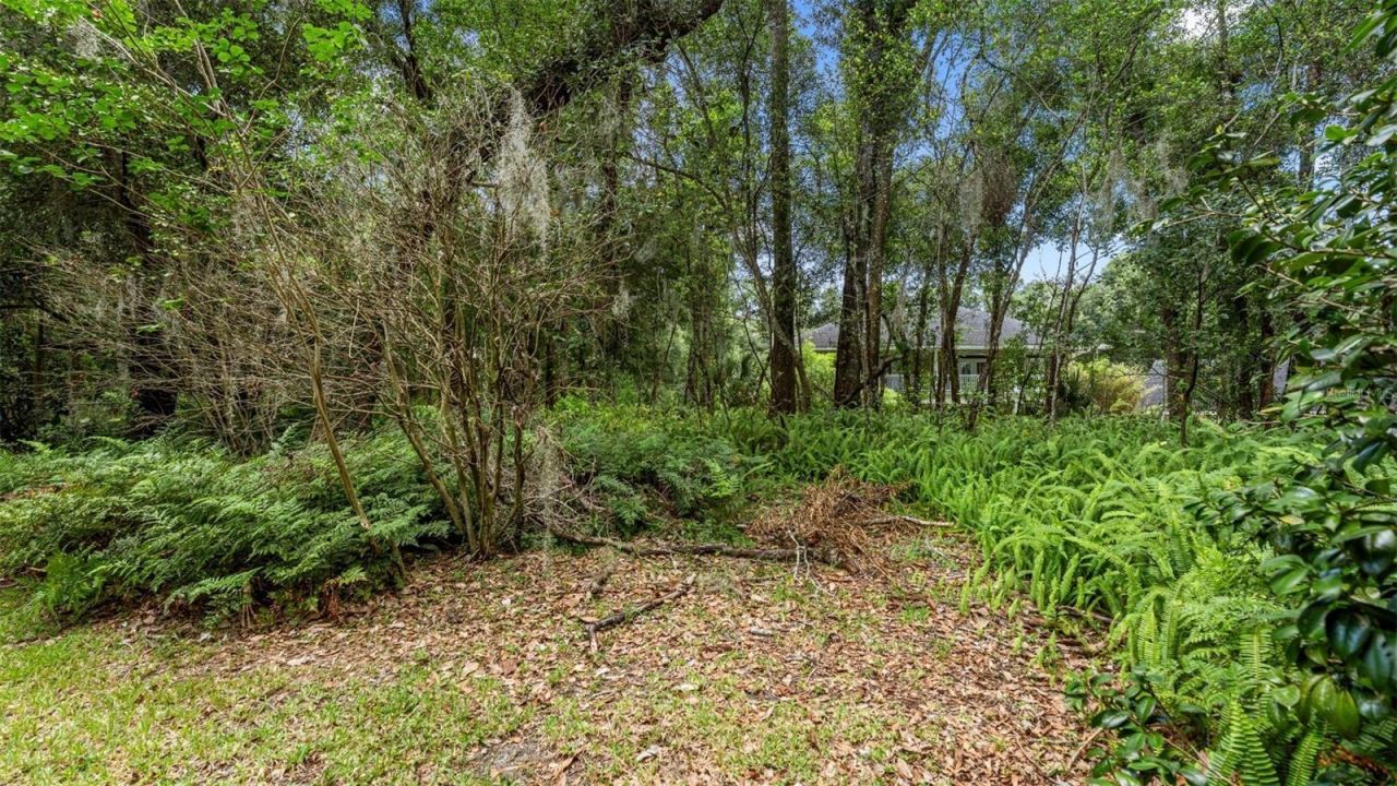 1237 Cardinal Lane, Deland, FL 32720 Photo