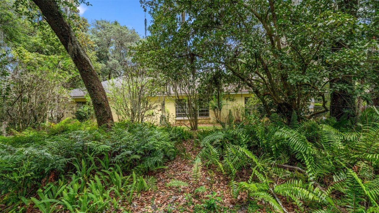 1237 Cardinal Lane, Deland, FL 32720 Photo