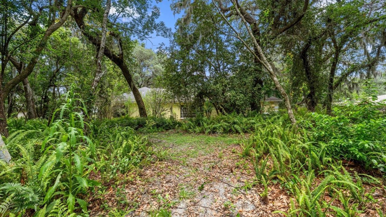 1237 Cardinal Lane, Deland, FL 32720 Photo