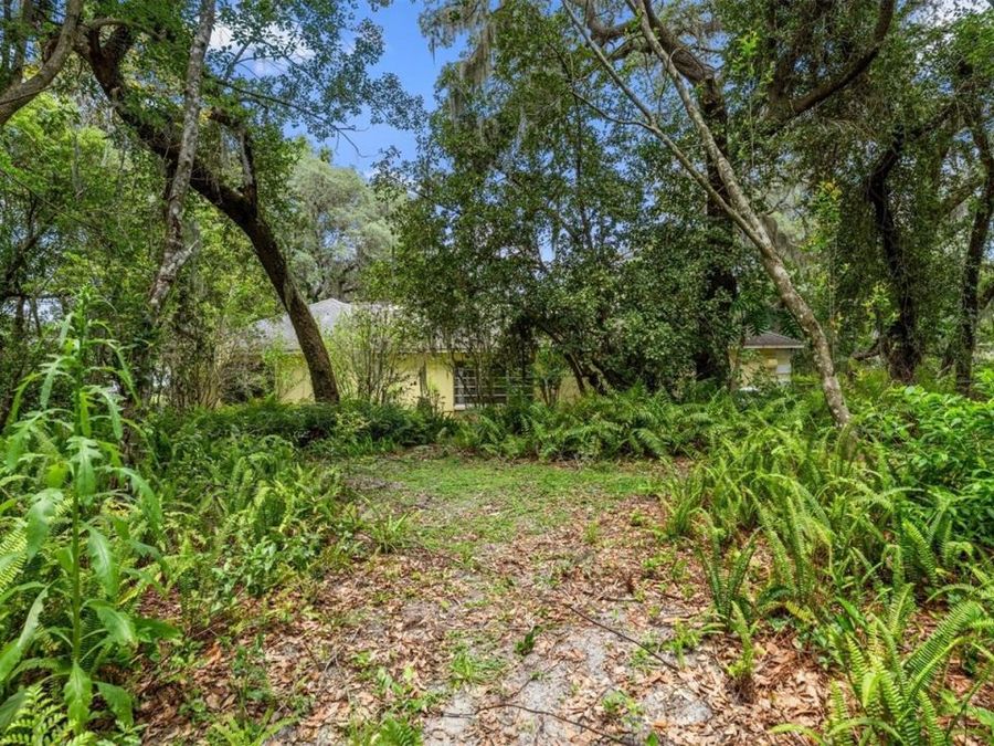 Property Image 80