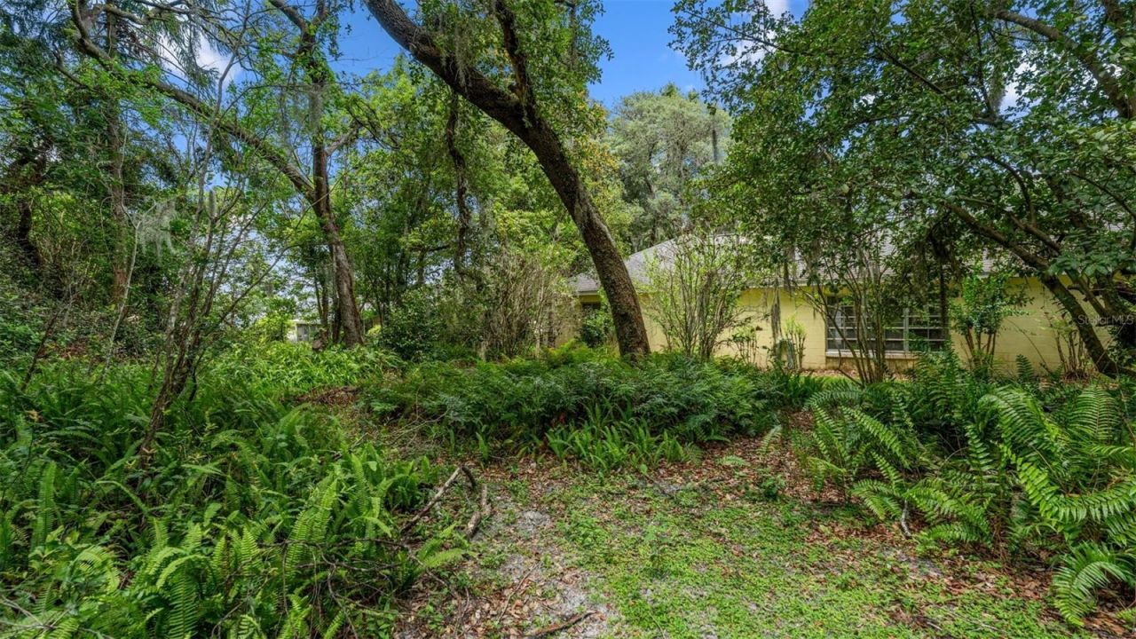 1237 Cardinal Lane, Deland, FL 32720 Photo