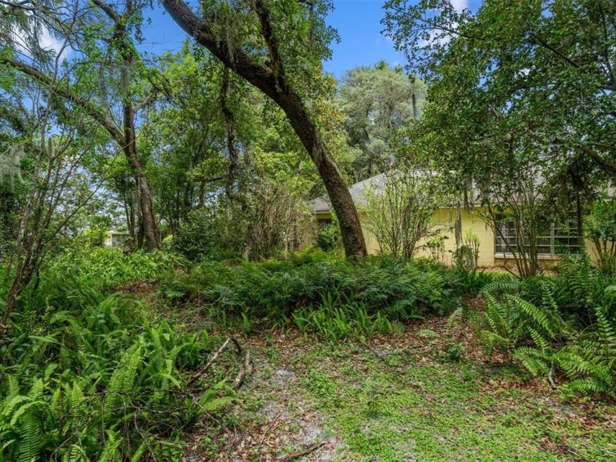 Property Image 81