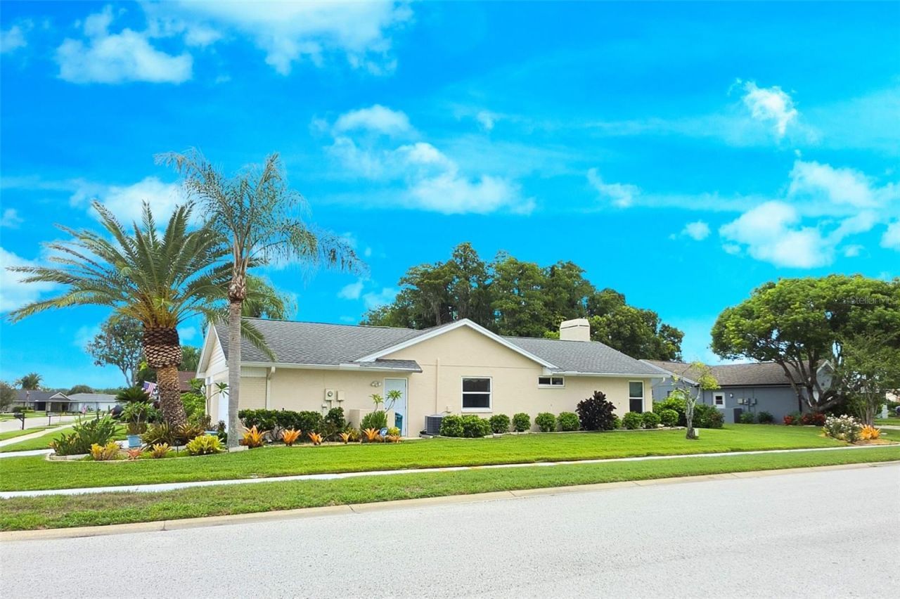 9927 Middlecoff Drive, New Port Richey, FL 34655 Photo
