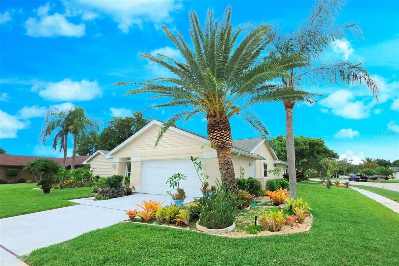 9927 Middlecoff Drive, New Port Richey, FL 34655 Photo