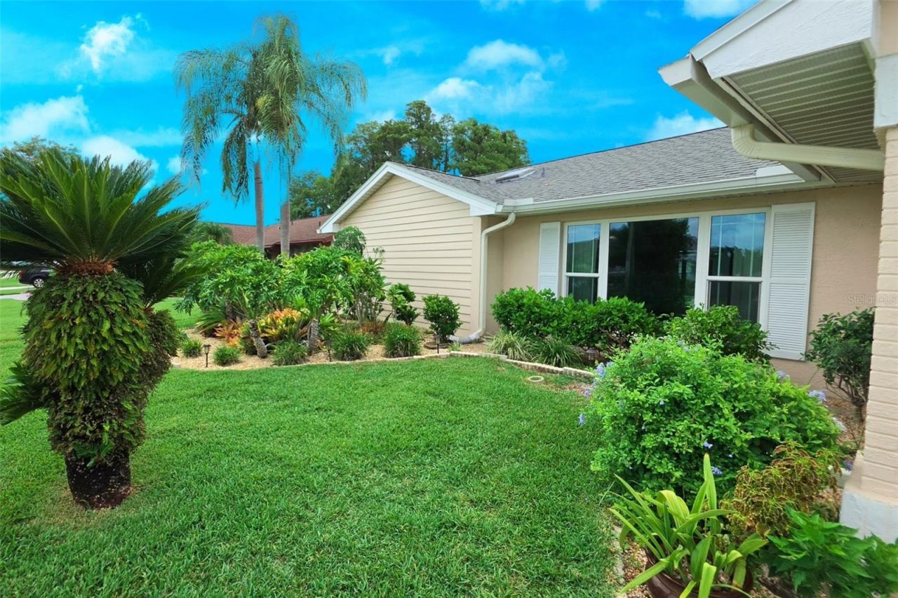 9927 Middlecoff Drive, New Port Richey, FL 34655 Photo