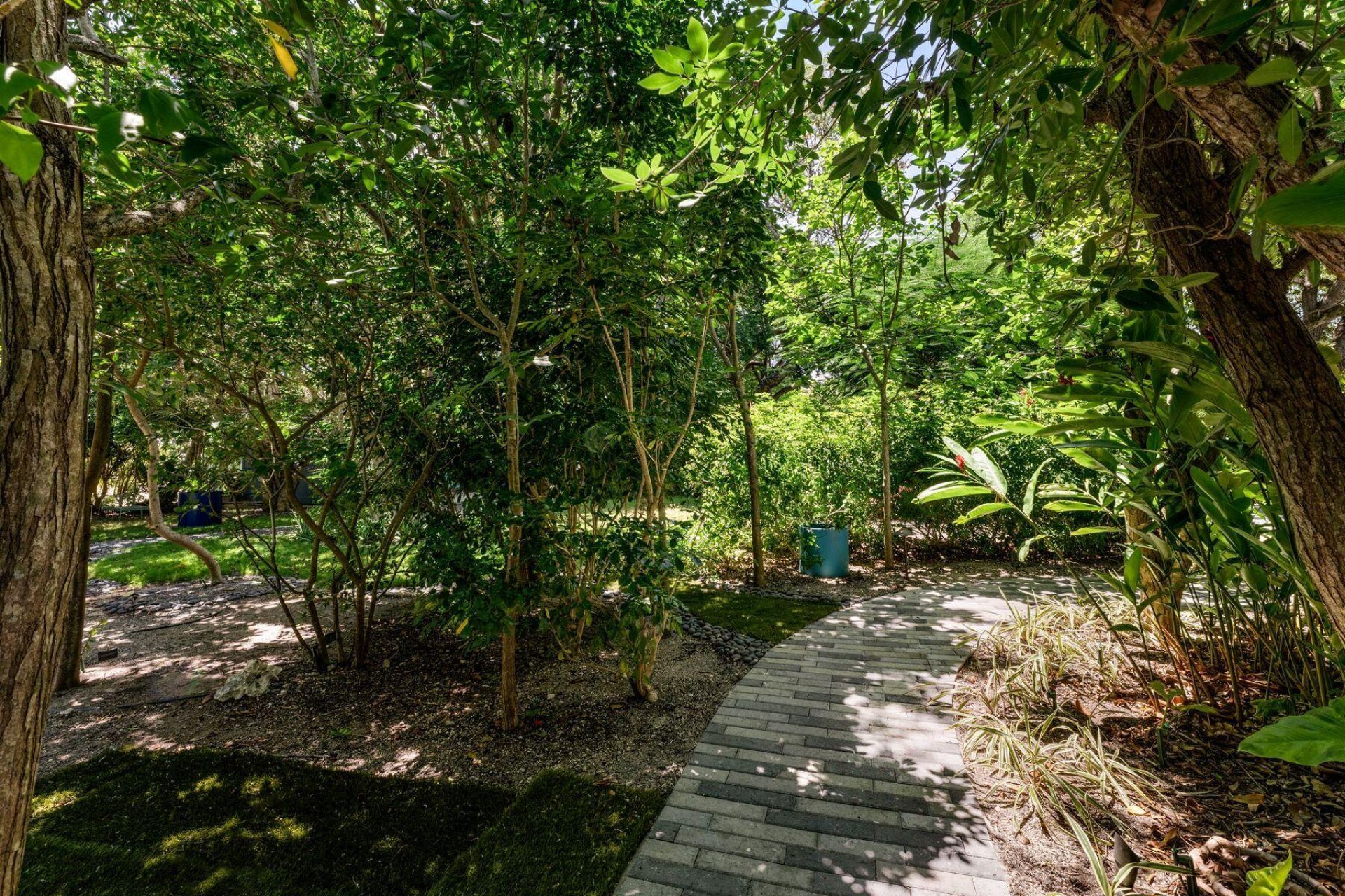 19 Avacado Street, Islamorada, FL 33036 Photo