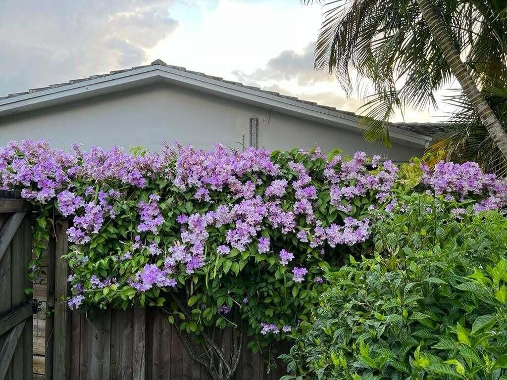 4201 Fillmore Street, Hollywood, FL 33021 Photo