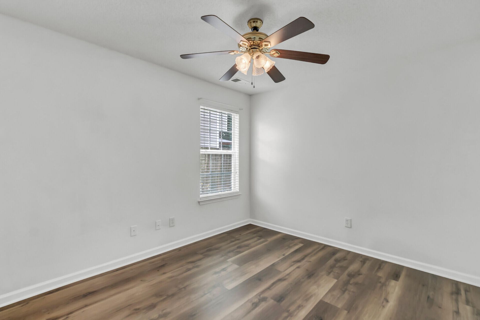 295 Dunning Road Photo 19