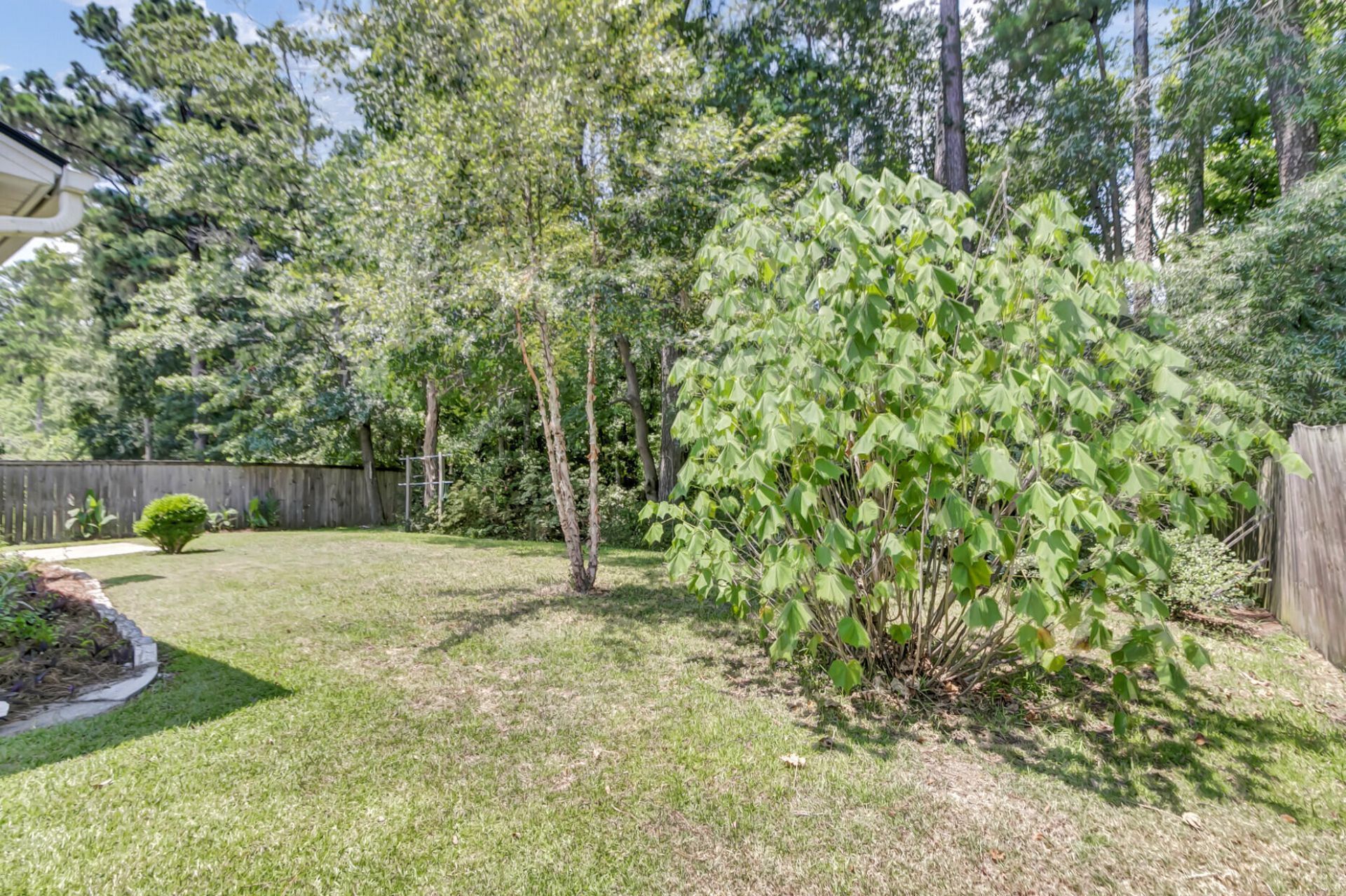 295 Dunning Road Photo 27