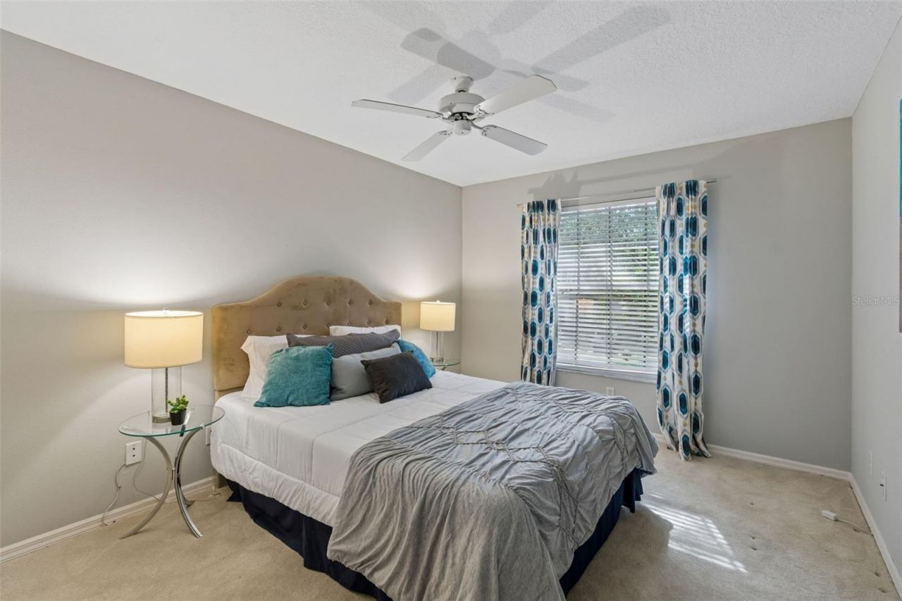 460 Date Palm Court Ne, Saint Petersburg, FL 33703 Photo