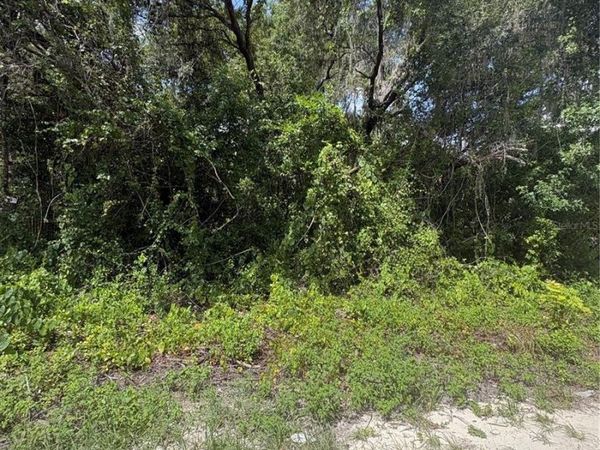 SPARE DRIVE , NEW PORT RICHEY, FL 34654