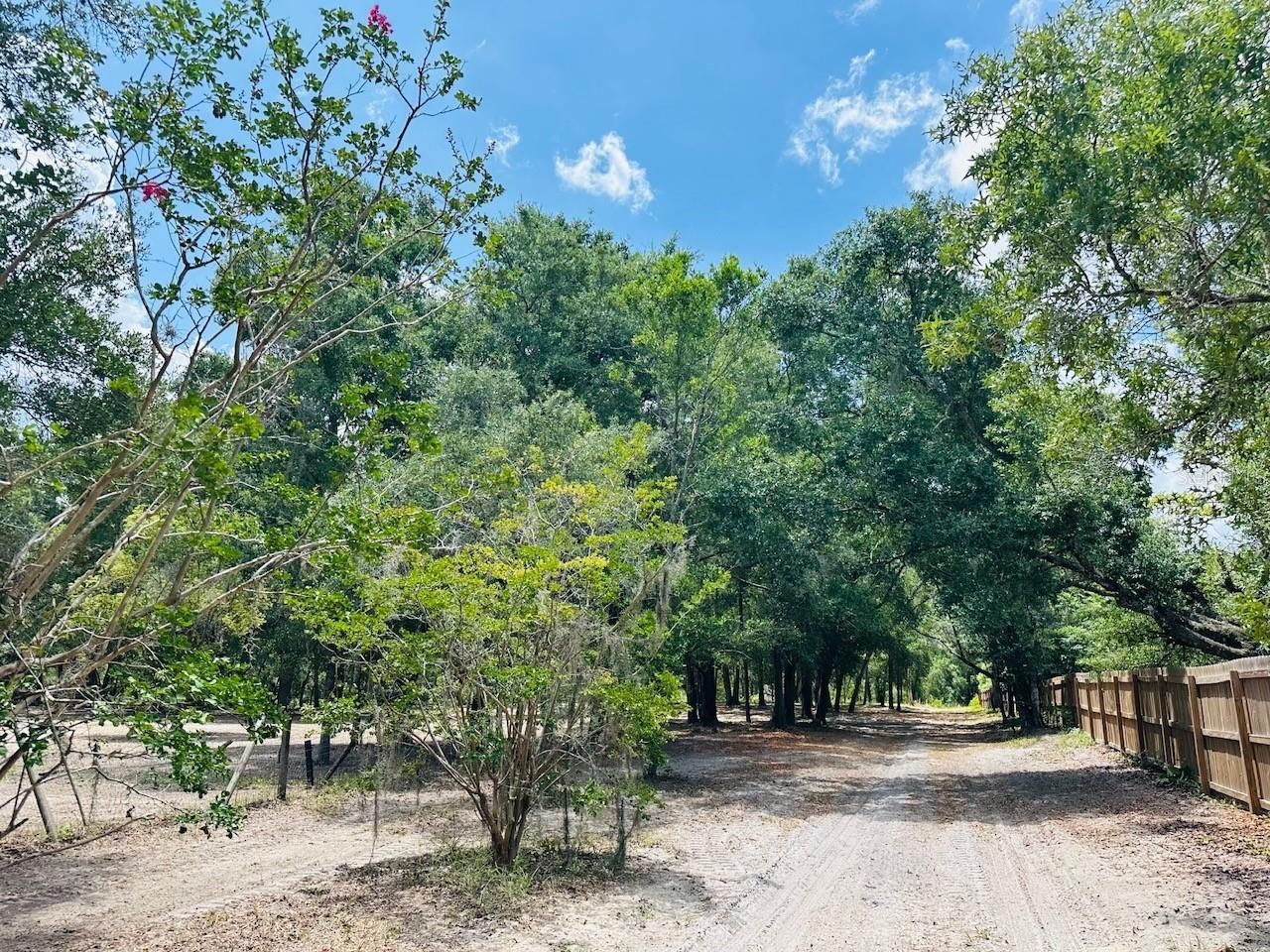 11000 Kitten Trail, Hudson, FL 34669 Photo