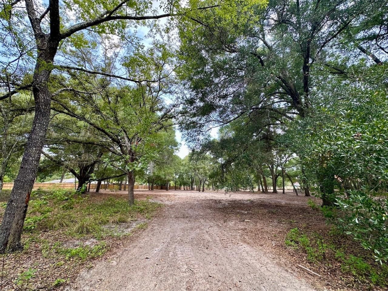 11000 Kitten Trail, Hudson, FL 34669 Photo