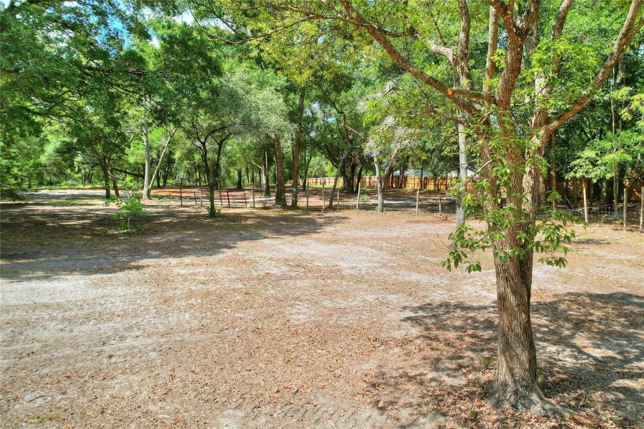 11000 Kitten Trail, Hudson, FL 34669 Photo