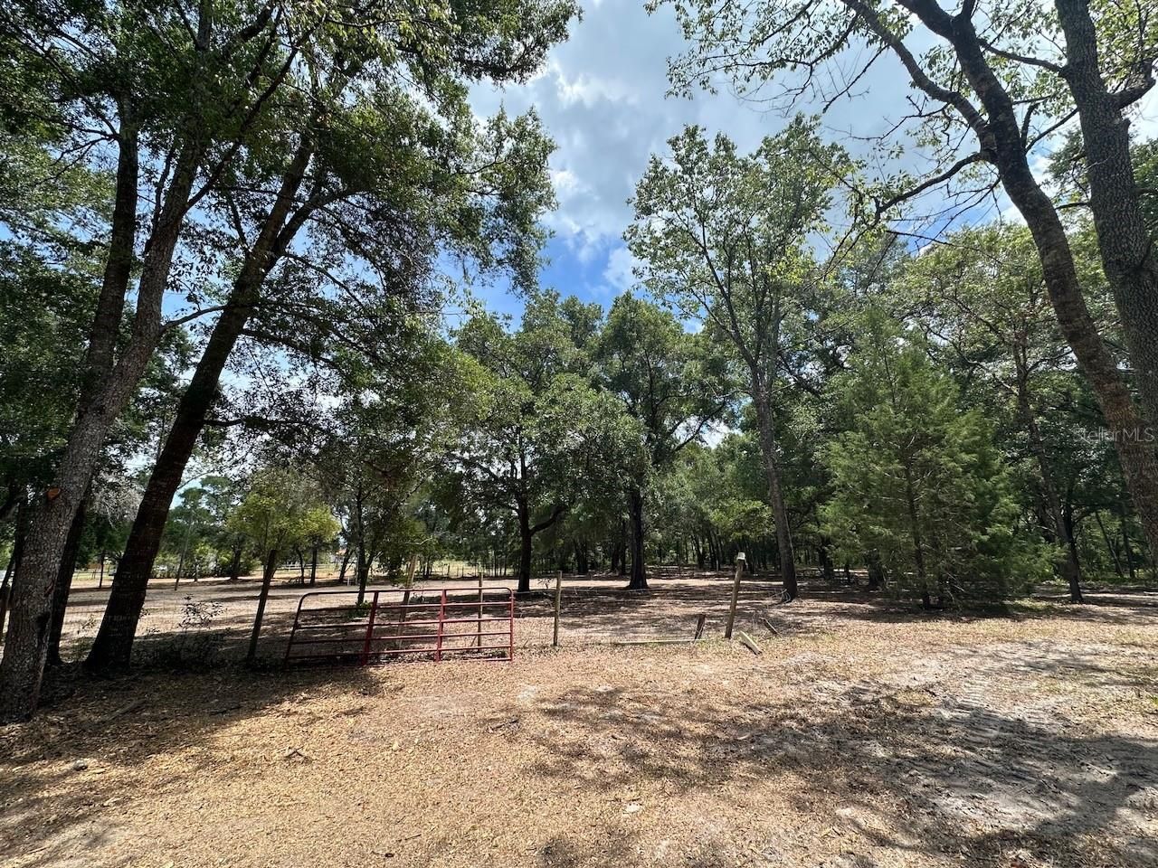 11000 Kitten Trail, Hudson, FL 34669 Photo