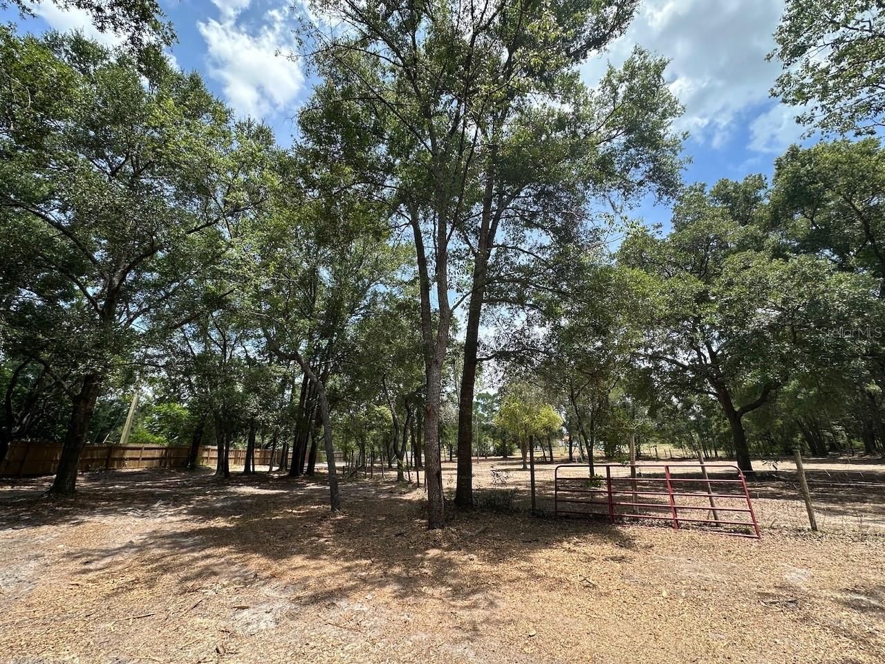 11000 Kitten Trail, Hudson, FL 34669 Photo