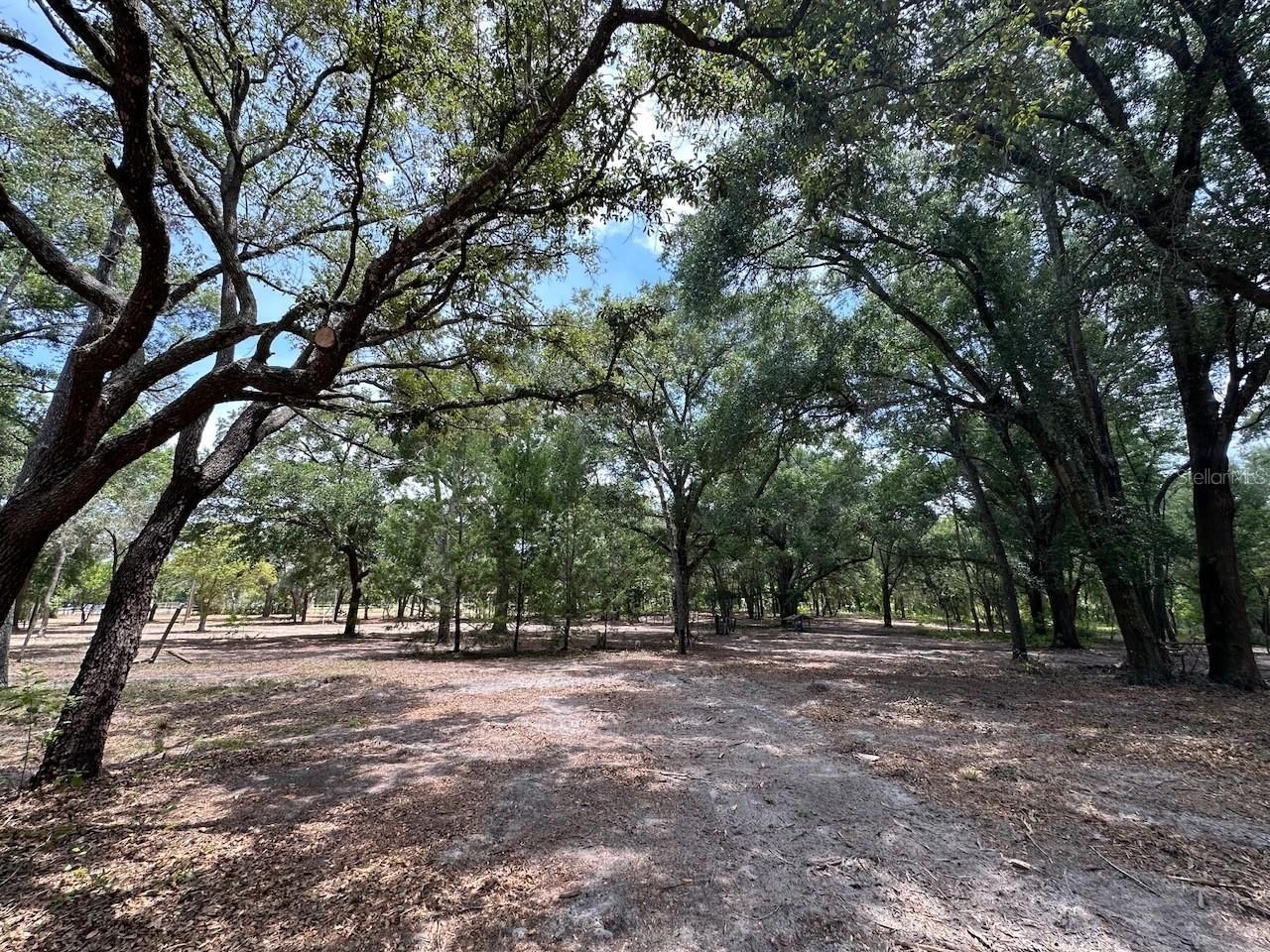11000 Kitten Trail, Hudson, FL 34669 Photo