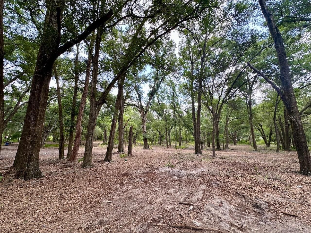 11000 Kitten Trail, Hudson, FL 34669 Photo