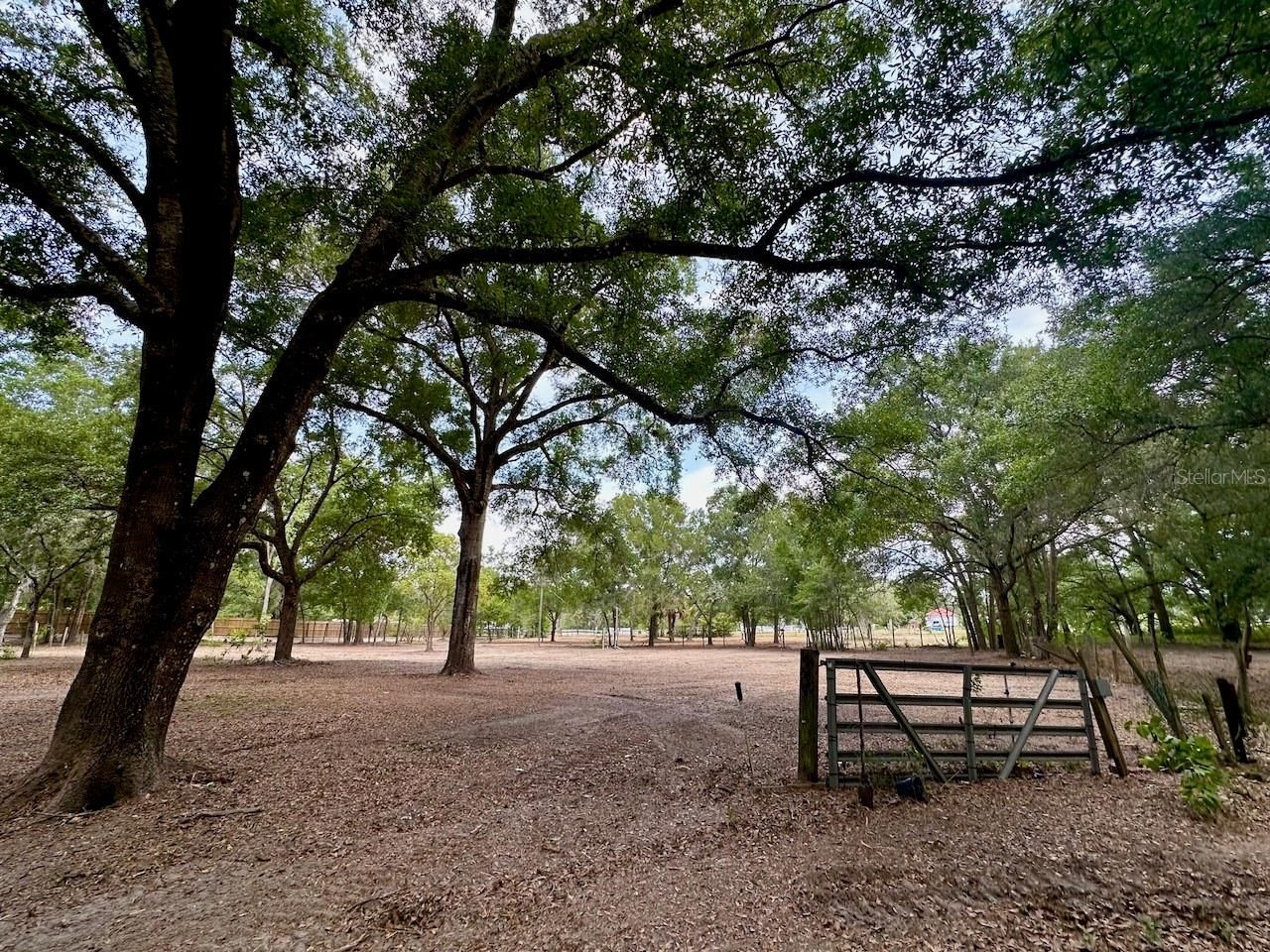 11000 Kitten Trail, Hudson, FL 34669 Photo