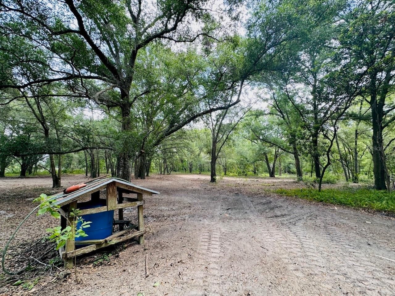 11000 Kitten Trail, Hudson, FL 34669 Photo