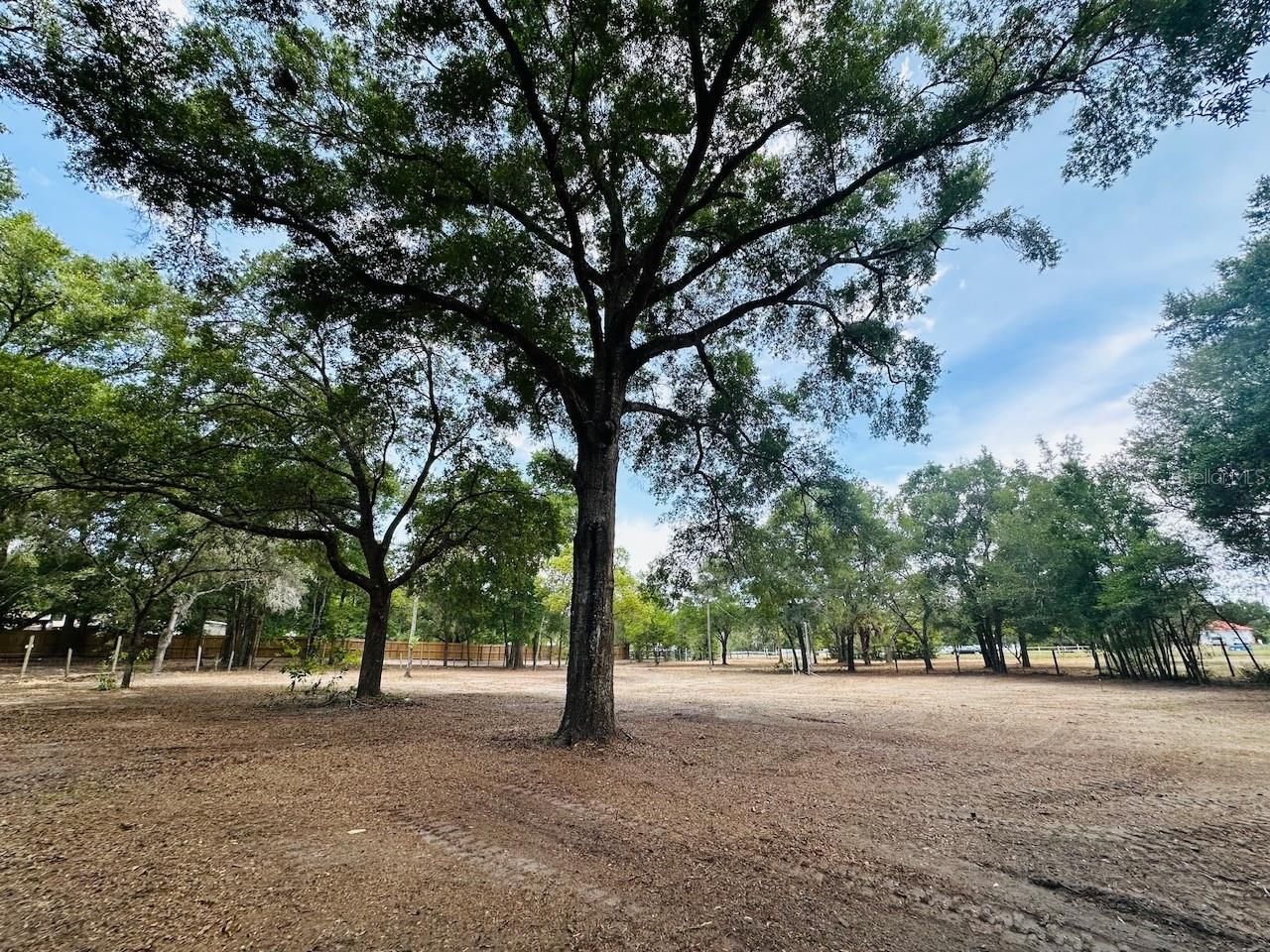 11000 Kitten Trail, Hudson, FL 34669 Photo