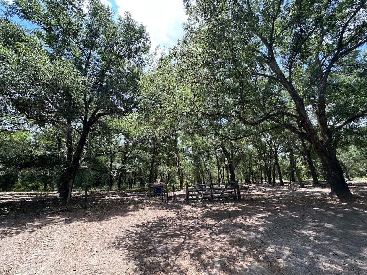 11000 Kitten Trail, Hudson, FL 34669 Photo