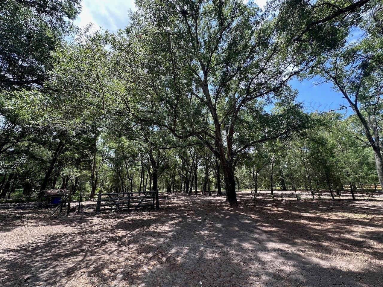 11000 Kitten Trail, Hudson, FL 34669 Photo