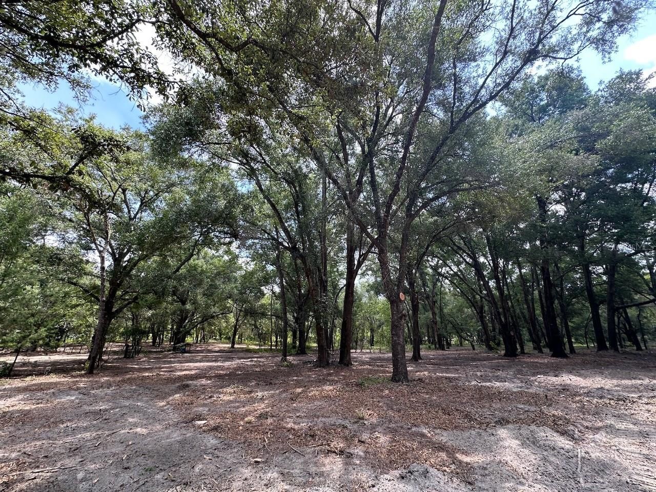 11000 Kitten Trail, Hudson, FL 34669 Photo