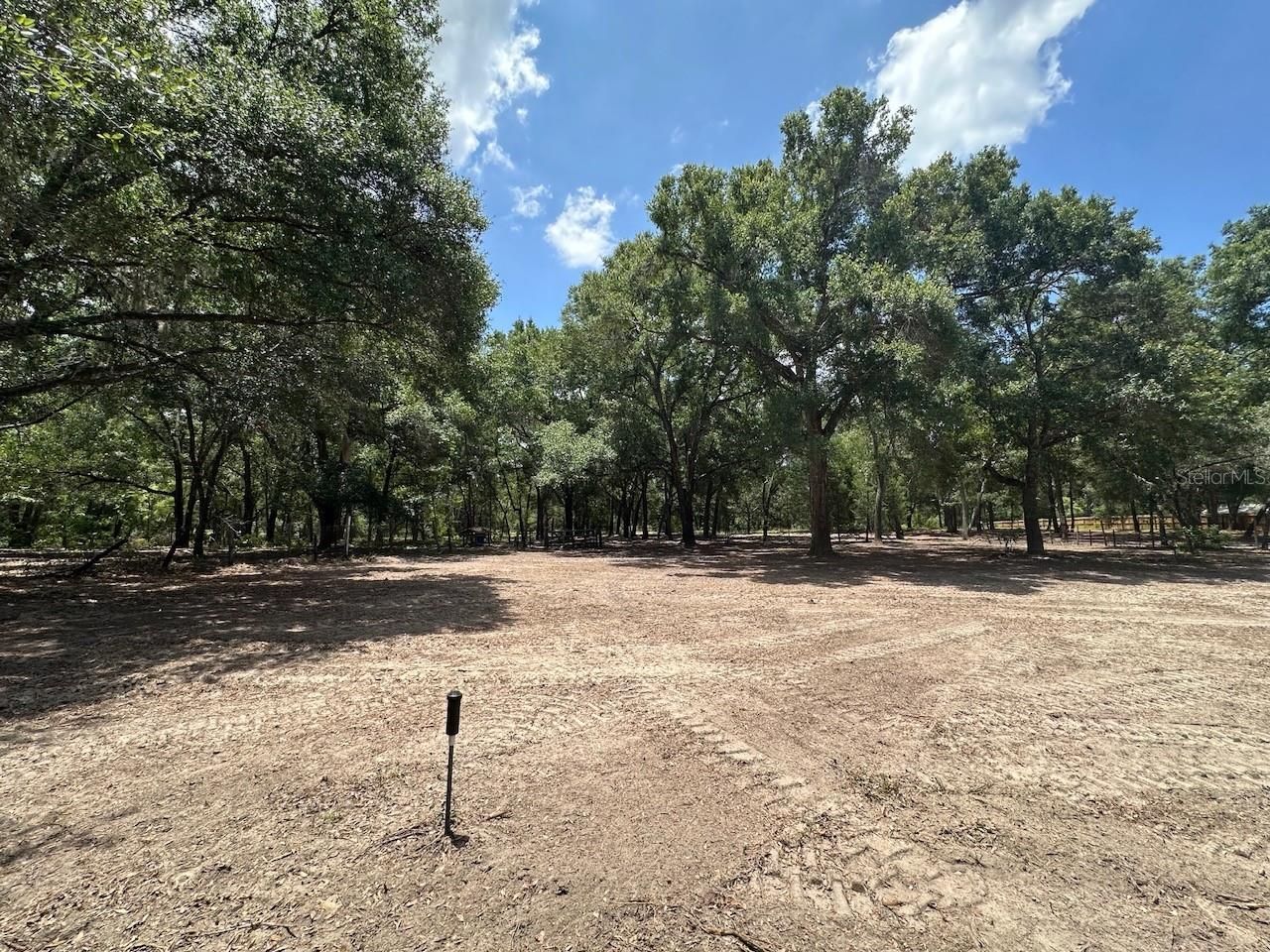 11000 Kitten Trail, Hudson, FL 34669 Photo