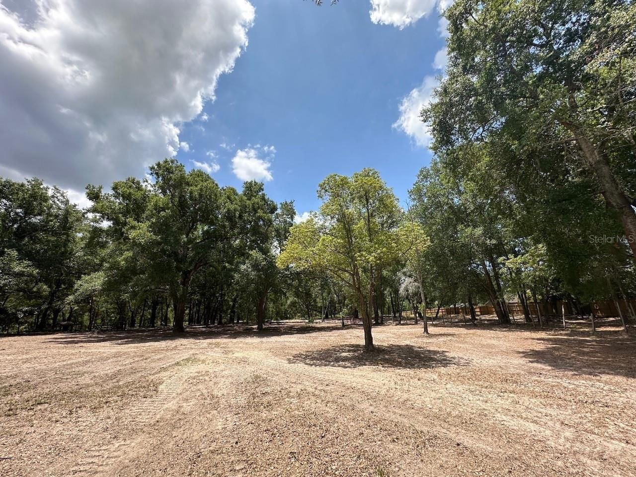 11000 Kitten Trail, Hudson, FL 34669 Photo