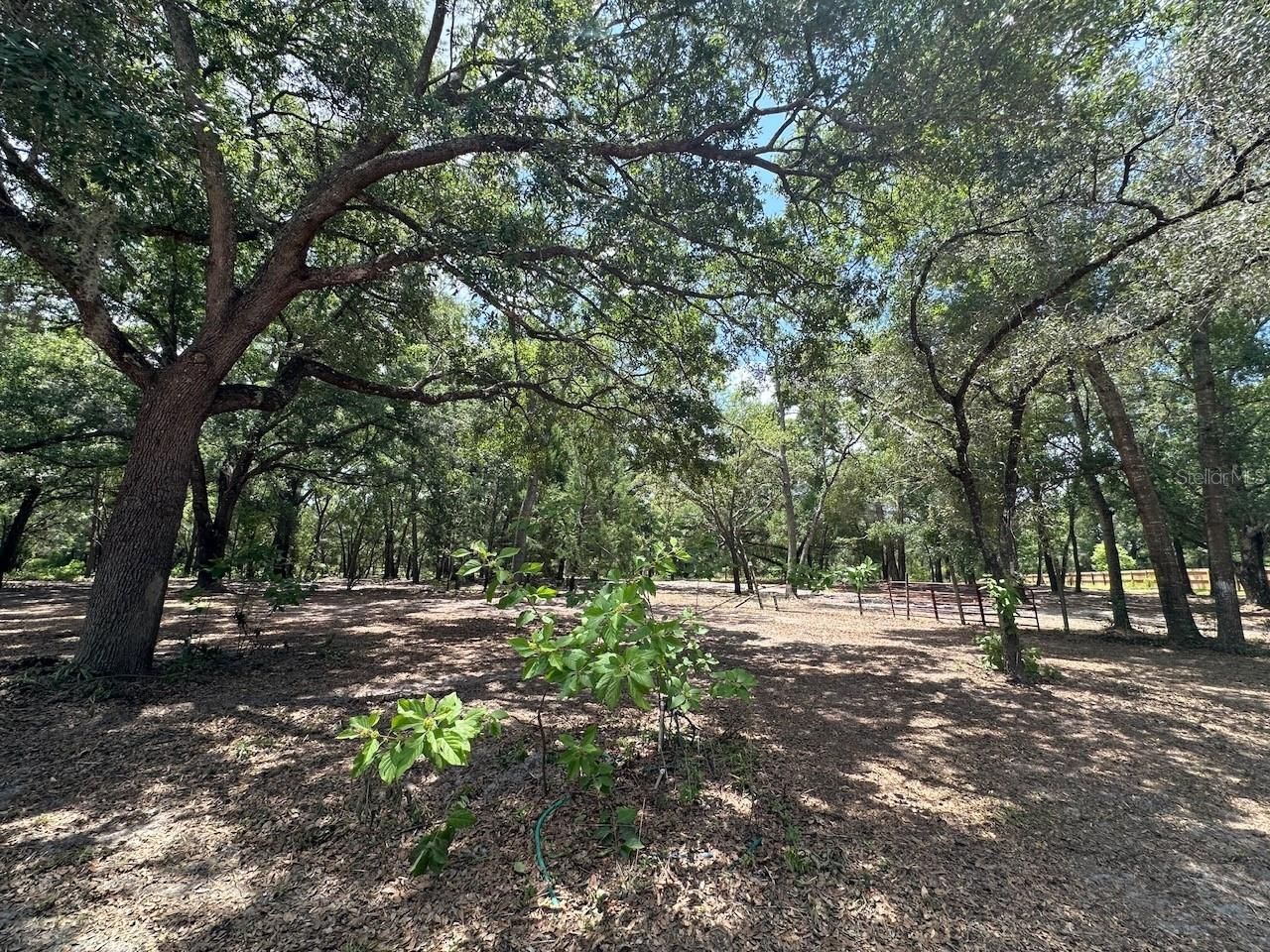 11000 Kitten Trail, Hudson, FL 34669 Photo