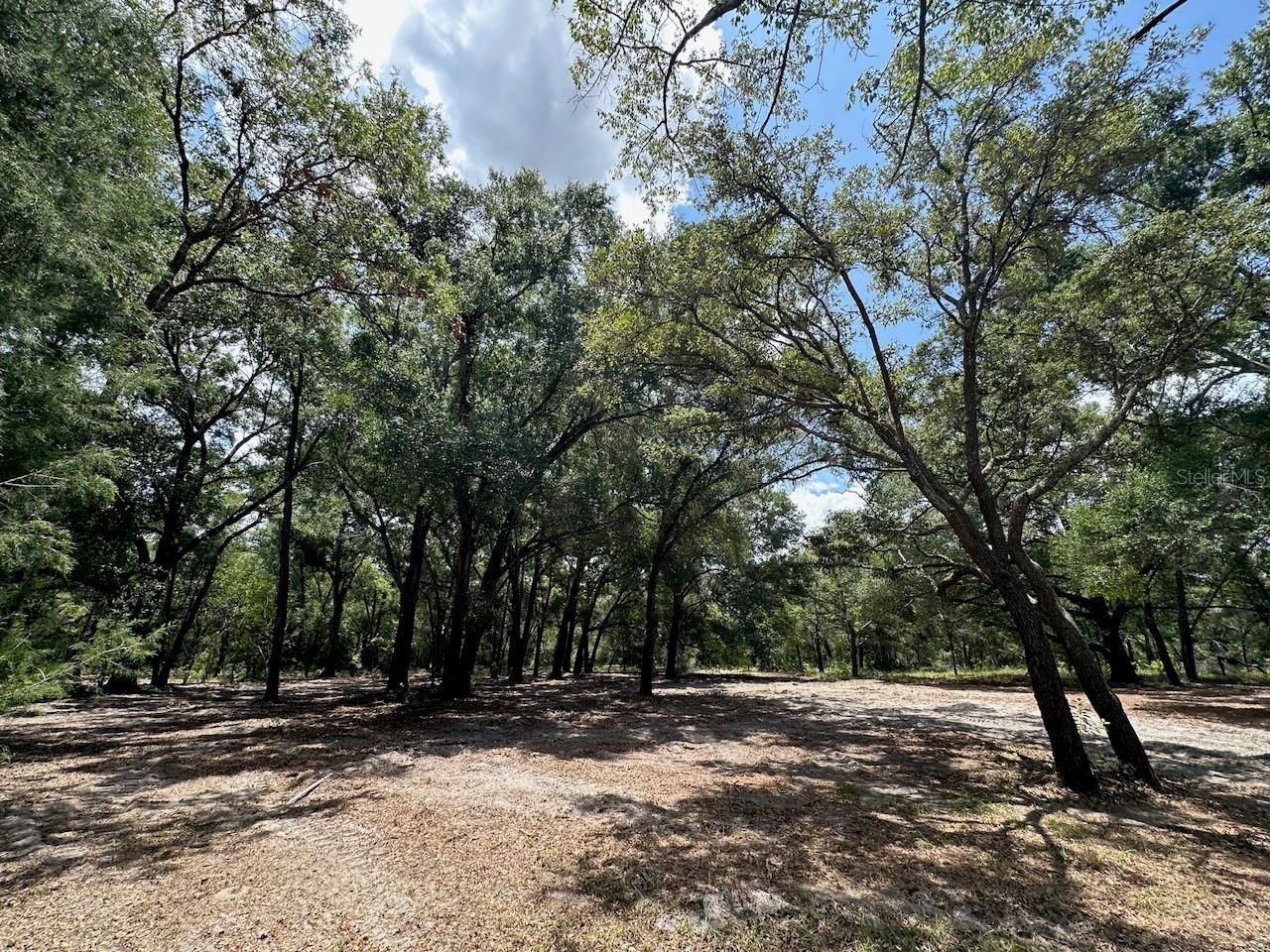 11000 Kitten Trail, Hudson, FL 34669 Photo