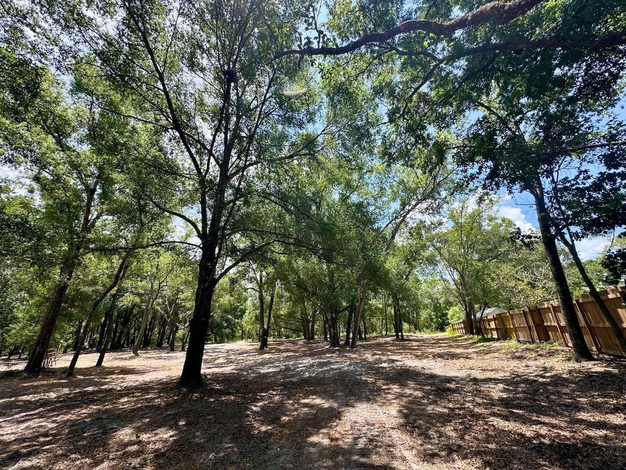 11000 Kitten Trail, Hudson, FL 34669 Photo