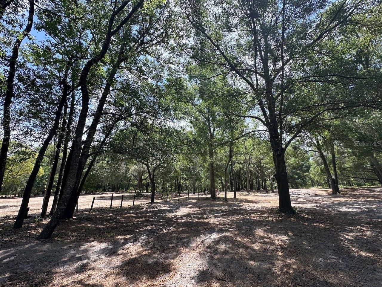 11000 Kitten Trail, Hudson, FL 34669 Photo