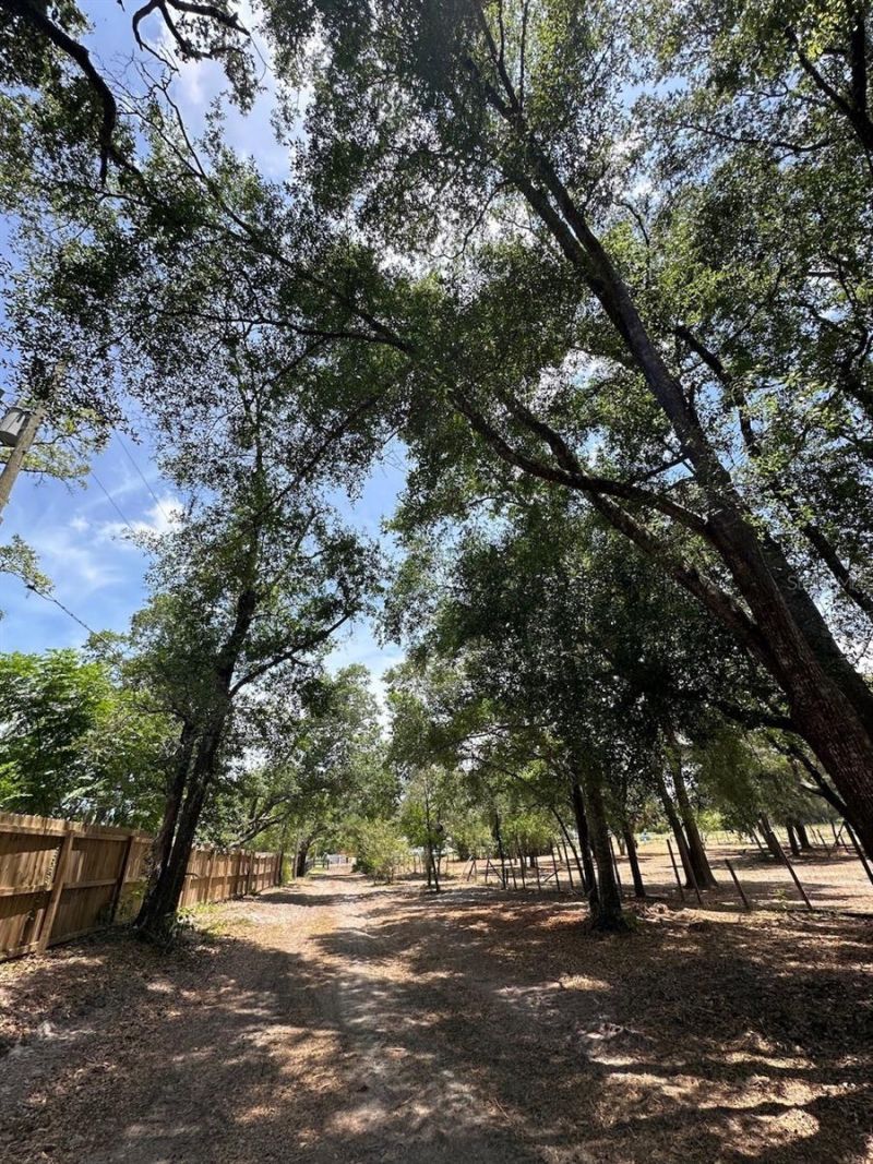 11000 Kitten Trail, Hudson, FL 34669 Photo